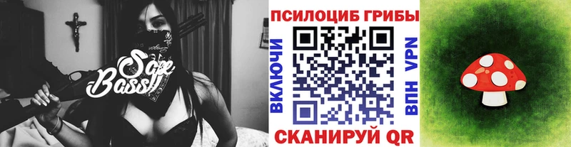 Галлюциногенные грибы Psilocybine cubensis  Купить где  Оренбург 